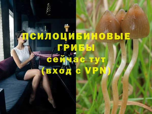 скорость Балабаново