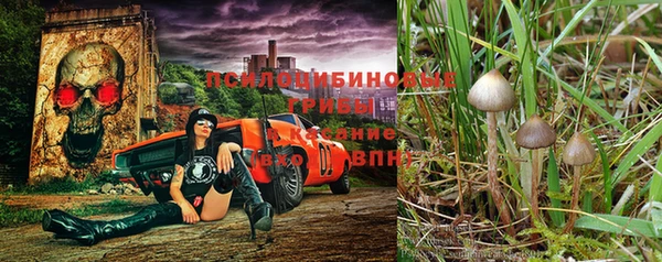 герыч Балахна